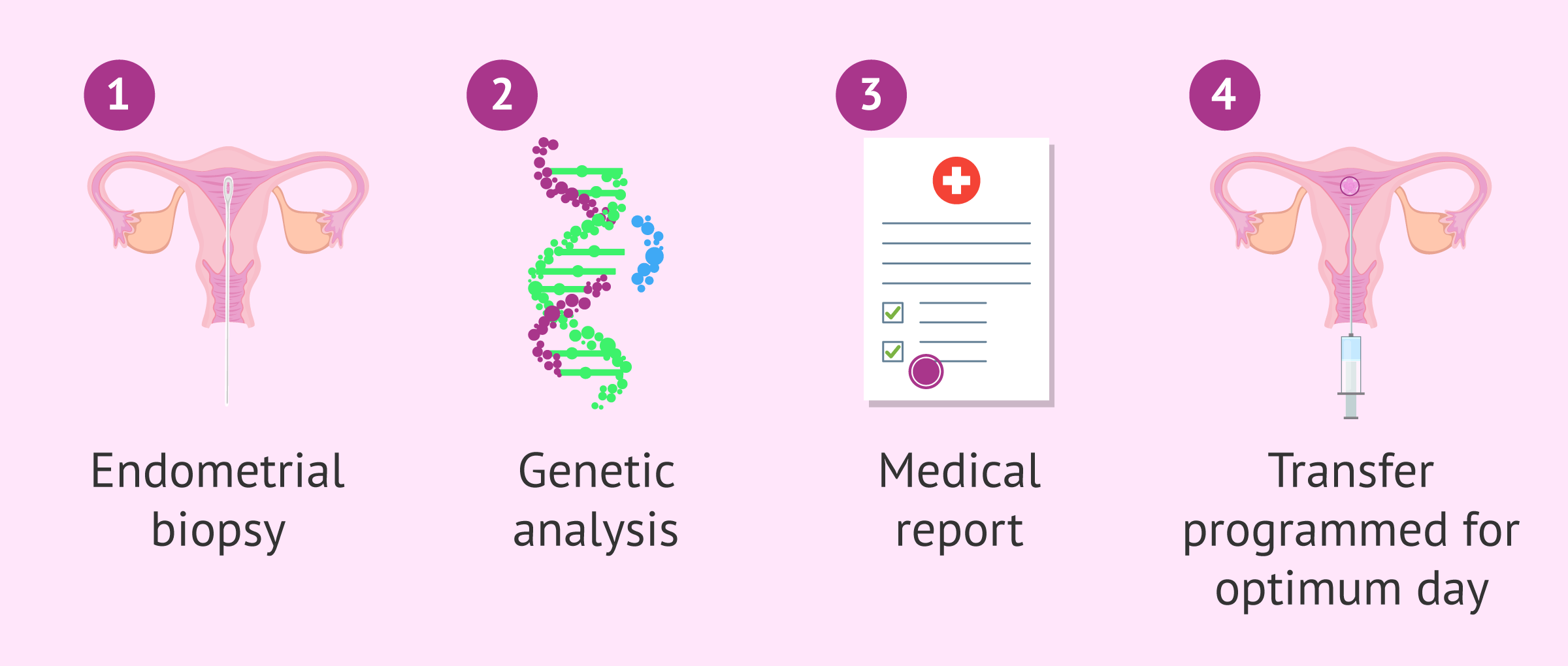 ERA test procedure steps