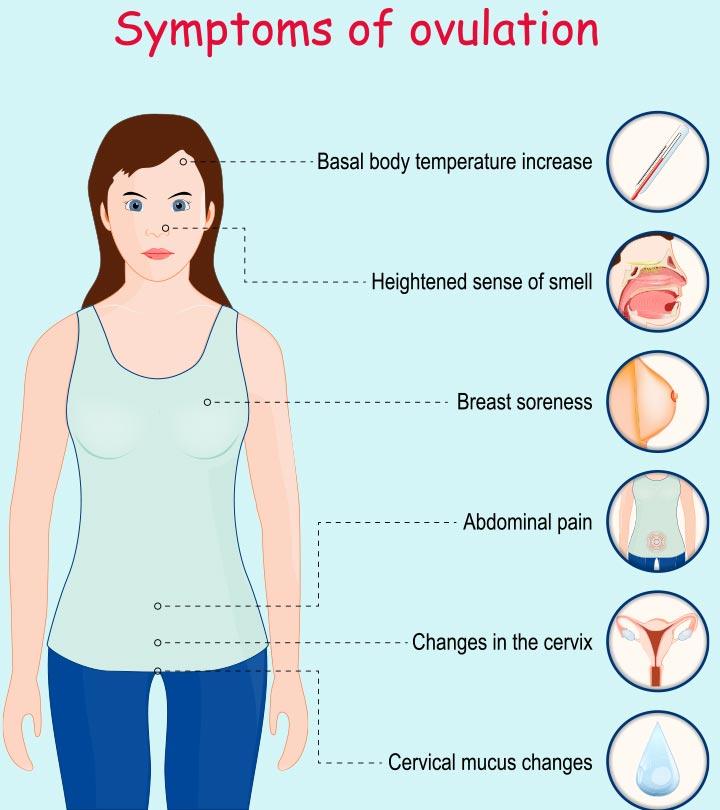 9-Symptoms-Of-Ovulation-To-Help-Predict-Your-Most-Fertile-Time-1